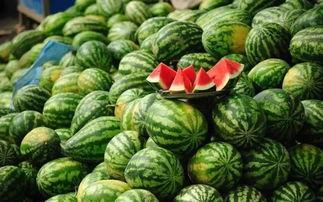 上海看瓜吃瓜事件真相揭秘,揭秘背后真相与争议